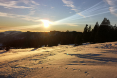 IMG_20220113_163616
